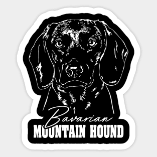 Bavarian Mountain Hound hunting dog portrait Sticker